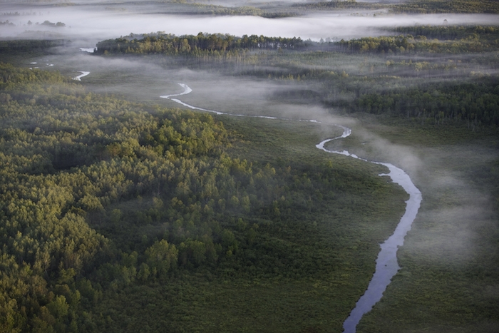 Carbon Neutral vs. Net Zero